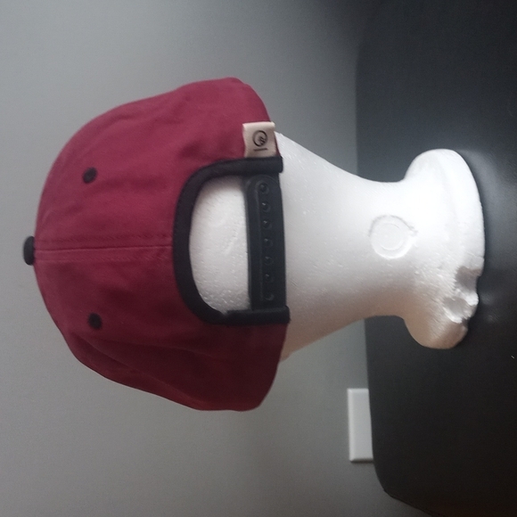 Tentree Cork Emblem Snapback Baseball Cap - Picture 3 of 10